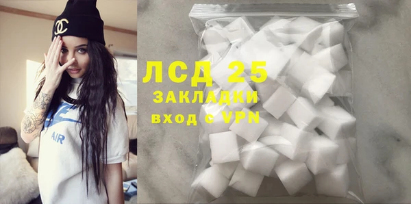 сатива Нефтекумск