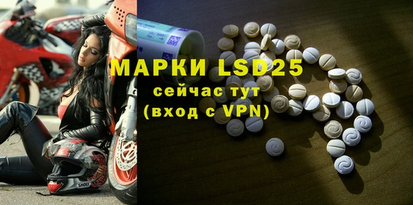 сатива Нефтекумск