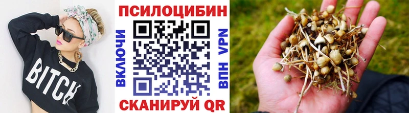 Псилоцибиновые грибы MAGIC MUSHROOMS  как найти   Одинцово 