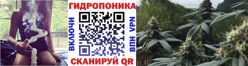 МАРИХУАНА гибрид  как найти наркотики  ОМГ ОМГ сайт  Одинцово 